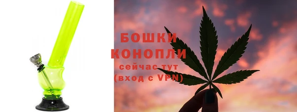 СК Горнозаводск