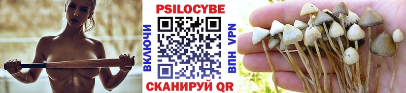 Купить где  Красновишерск  Псилоцибиновые грибы прущие грибы 