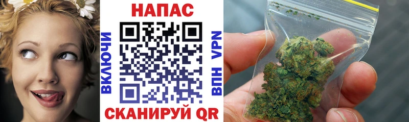 Купить где  Красновишерск  Марихуана сатива 